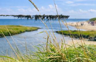 Küstenhaus Silbermöwe - Foto 28