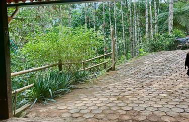 Casa Araucária - Photo 24