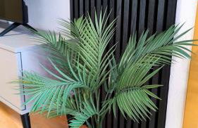 Tolle Lage - modern - zentral gelegen - 2 Zimmer Apartment - Foto 14