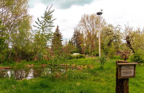 StorchenHof - Foto 41