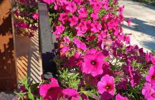 Colle Perazzoni - Foto 22