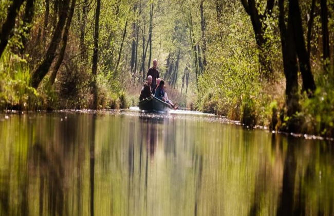 Spacious Chalet in a Rural Location Near Giethoorn - Photo 34