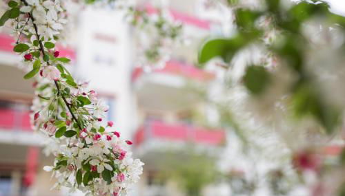 Freiburg-Desing-Apartment 1 - Foto 4, Garden