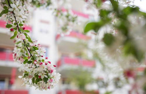 Freiburg-Desing-Apartment 1 - Foto 4