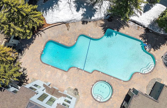 Ski In Ski Out PT Lodge 2BR 2BA Hot Tubs - Foto 22