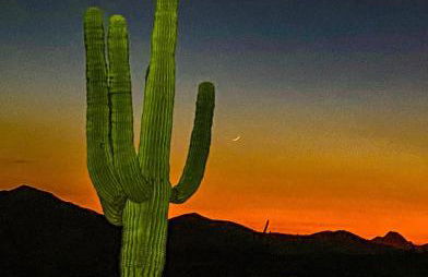 Kimberly Surprise - Foto 9