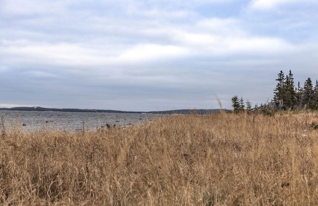 Burnt Cape Cabins - Foto 48