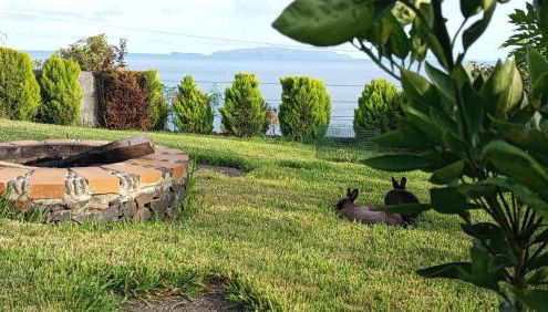 The Goat's Place III - Foto 2