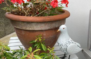 The Loft - Shemara - Foto 17