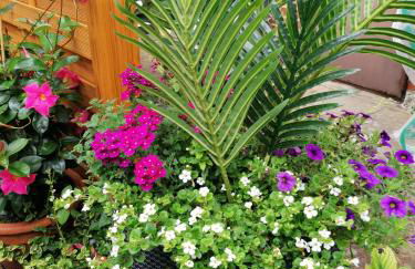 Ferienwohnung Einbeck FeWo B Nolte - Photo 71