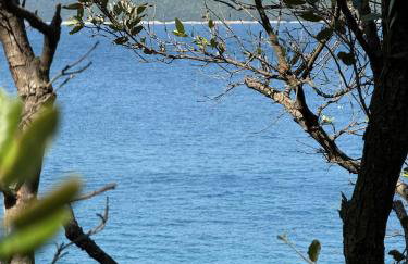 Casa Pietra 27 , Authentic Istrian Stone House - Foto 27