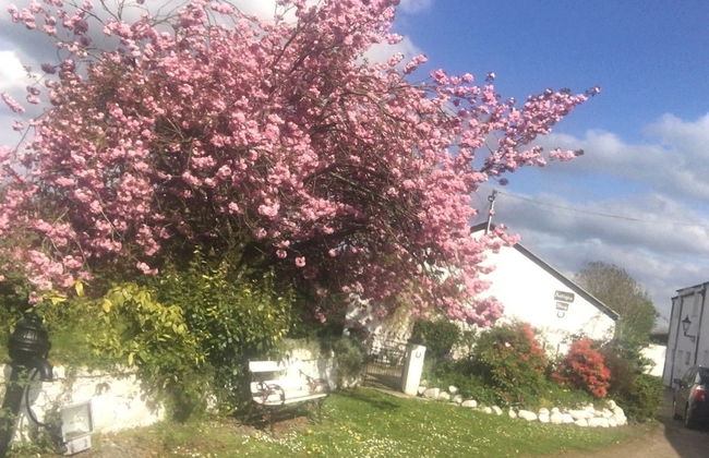 Kingsmills Cottages Cookstown - Foto 36