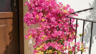 Casa San Cosimo - Foto 4