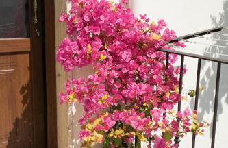 Casa San Cosimo - Foto 4