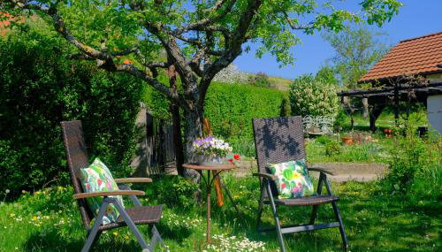 Ferienweingut Wissing Wohnung Theo - Foto 3, Garden view