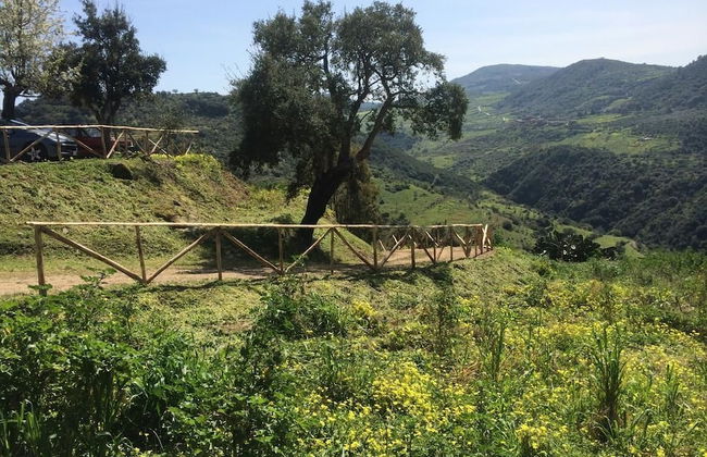 Agriturismo Mama Lina - Photo 27