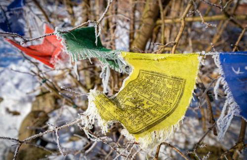 Ferienwohnung am Kunterbunthof - Foto 49