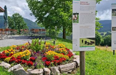 Auszeit Wunschblick - Foto 66