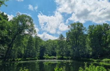 Appartement Sternenblick - Foto 9