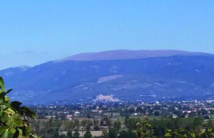 Tenuta Colverano - Foto 26