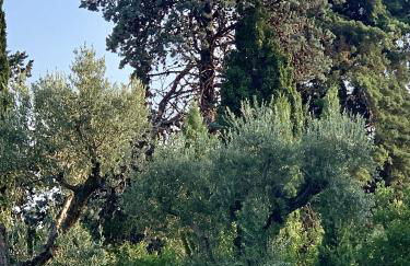 Lago di Garda a 100m - Fasanella Penthouse - Foto 56