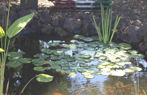 Agriturismo Le terre di zoe' - Foto 68