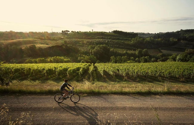 Casale Podernovo - Foto 21