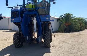 Monte Da Serralheira Agro Turismo - Foto 43