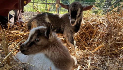 Nuovo Agriturismo Villa Enrichetta - Foto 5