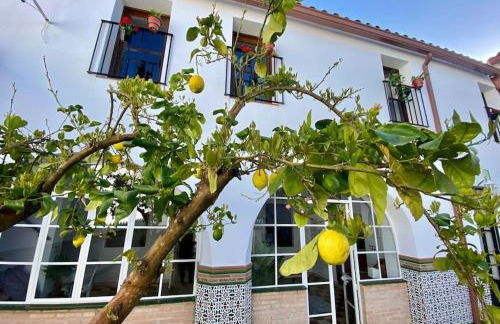 Casa del Marqués - Foto 76