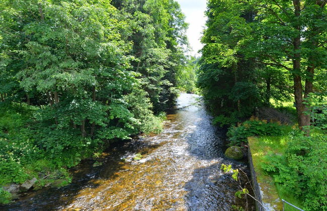 Holiday Home in Bayerisch Eisenstein Near Forest - Foto 27