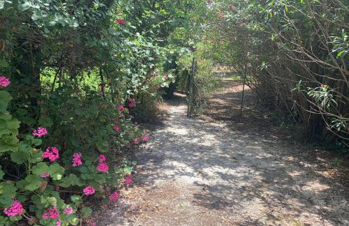 Villa Serena - Photo 29