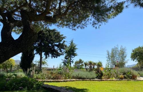 Villa-Agave , by the sea in Porto-Rafti outside Athens - Foto 27