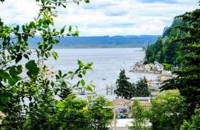 Hoodsport Memory - Beach View, Oysters & Near Olympic Forest - Foto 16