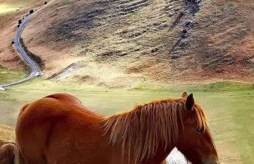 Il Casaletto di Simonetta - Foto 35