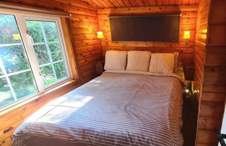 Cosy log cabin in Snowdonia 19 - Foto 8