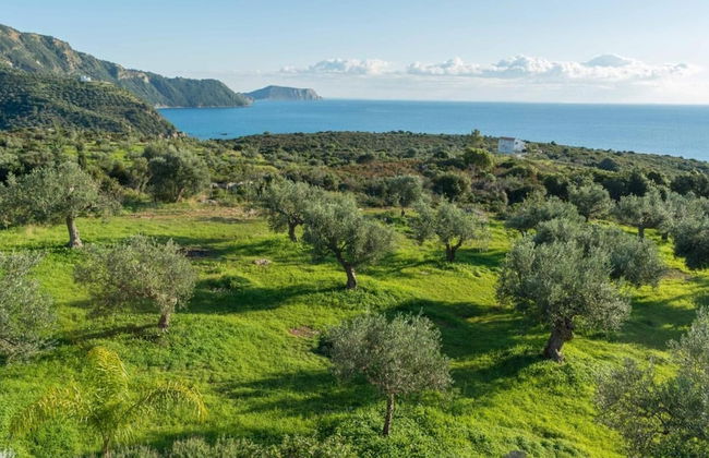 The Olive Grove Tsapi - Foto 7