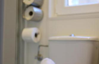 Iguana - Das Tiny Haus am Reptilienzoo Reptilium - Foto 8