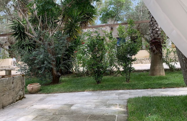 Tenuta Sidore - Photo 55