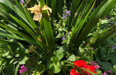 In Riva al Lago di Iseo Residenza LOFT - Foto 18