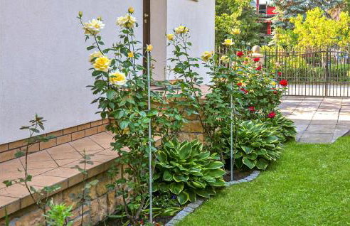 Cozy Home In Nowe Warpno With Wifi - Foto 17