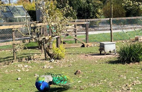 Peacock Barn - Photo 9