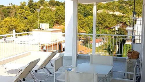 Aristotelia Gi - Panorama - Photo 5