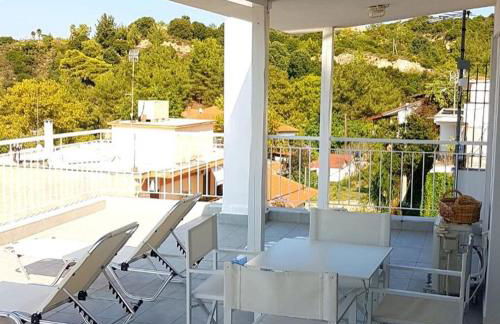 Aristotelia Gi - Panorama - Photo 5