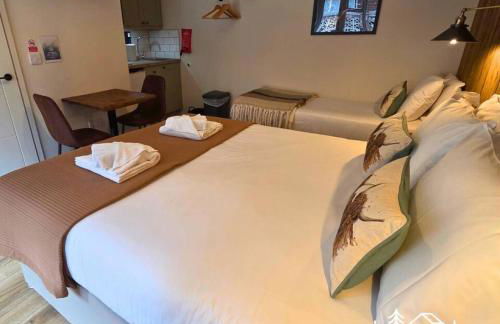 The Distinguished Squirrel - Room 4 - New Forest - Foto 1