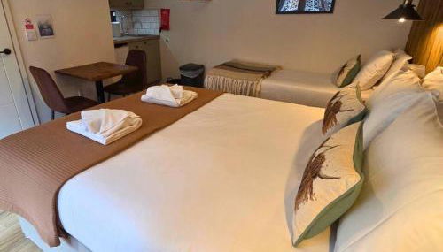 The Distinguished Squirrel - Room 4 - New Forest - Foto 1