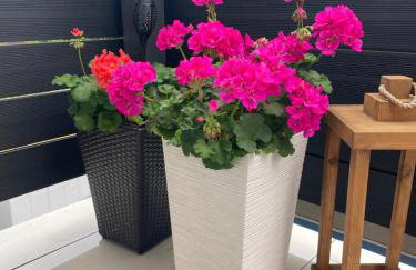 Madi Apartamenty - Photo 14