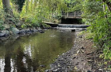 The Lawley - Photo 28