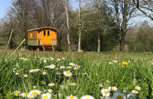 Roulotte La Chouette des Granges - Foto 14