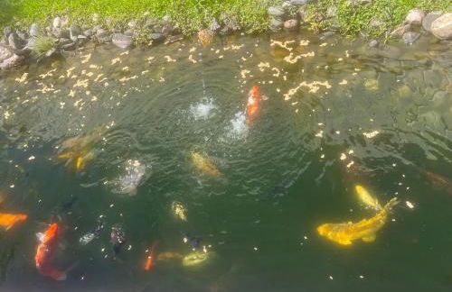 Casa do Lago Piscina aquecida Casa completa - Foto 71